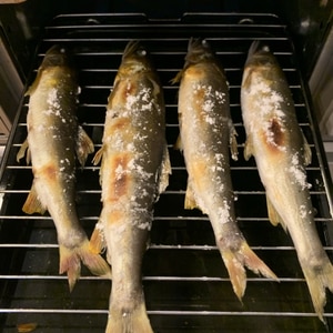 【コツ】鮎の塩焼き・グリルで美味しい鮎の焼き方